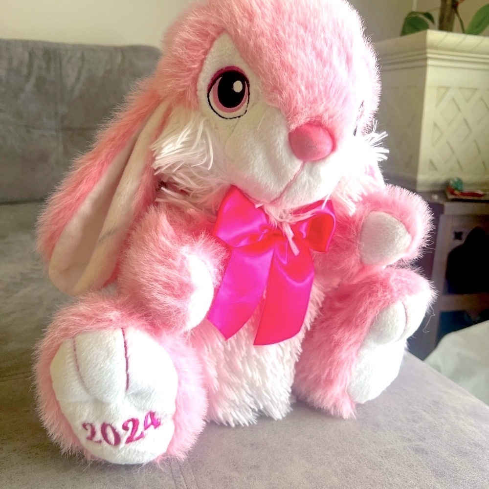 Pink Plush Bunny Toy